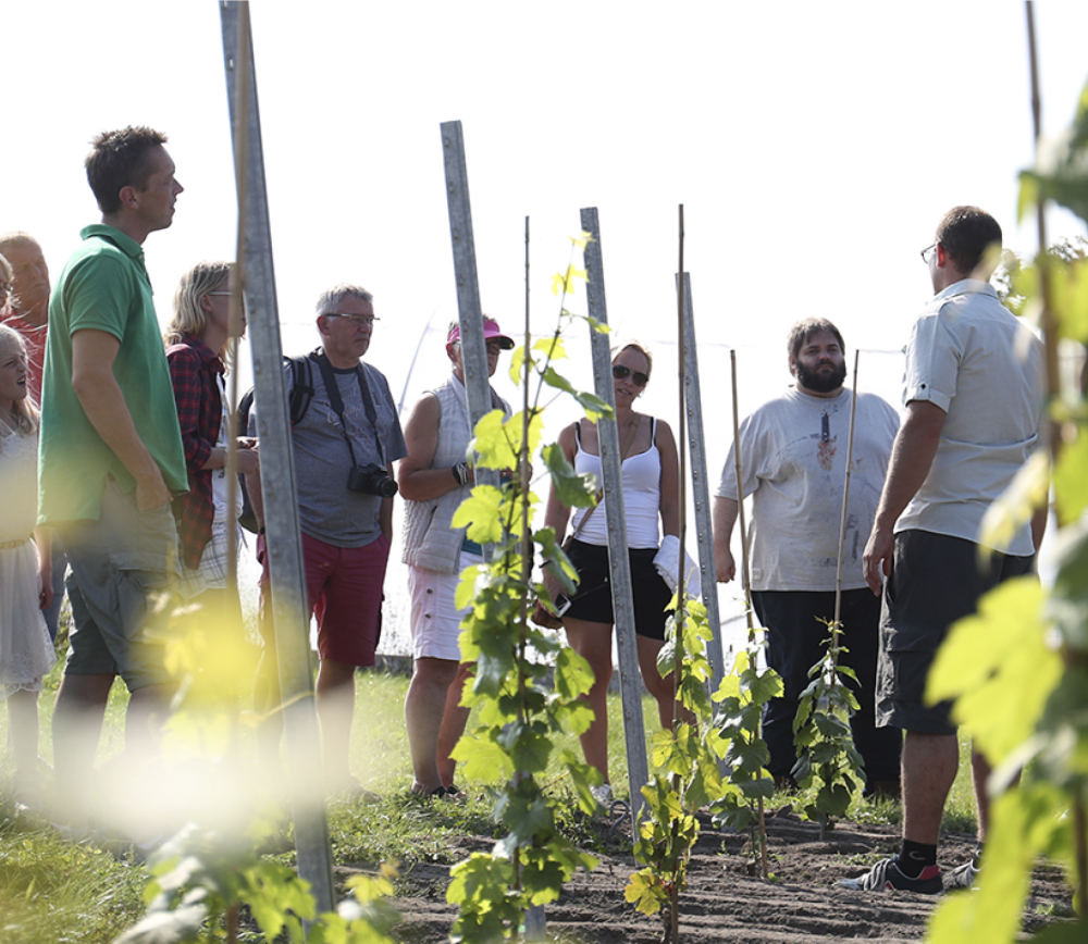 Guidede rundture for selskaber