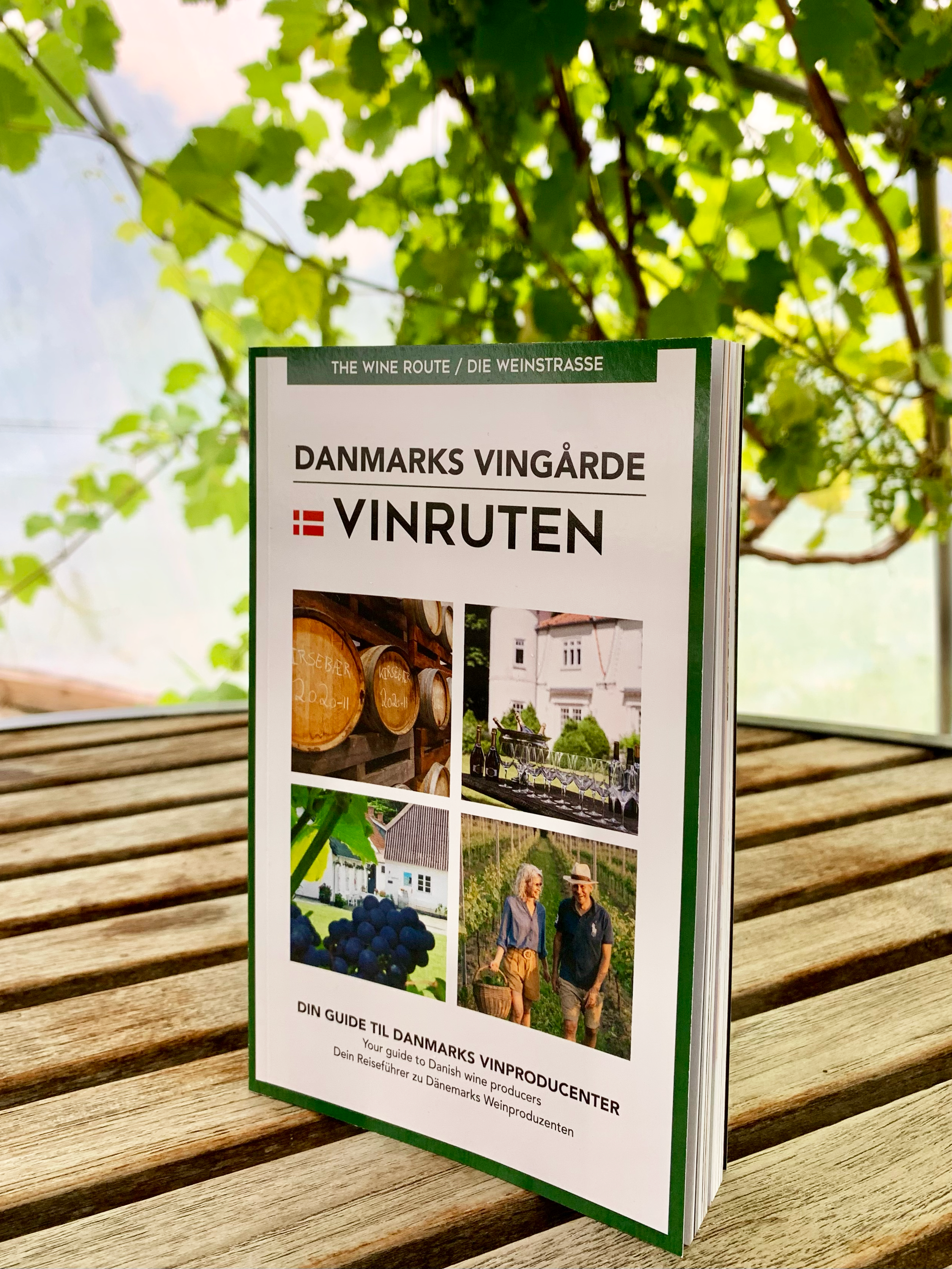 Vinruten bog